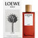 LOEWE SOLO CEDRO