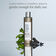 SCALP REVIVAL™ HAIR BRIOGEO SHAMPOO (SHAMPOO)
