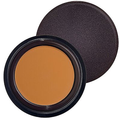 SECRET CONCEALER