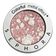 COLORFUL MAGNETIC EYESHADOW (SOMBRA DE OJOS)