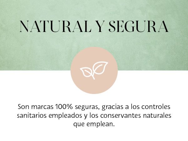 anticaida