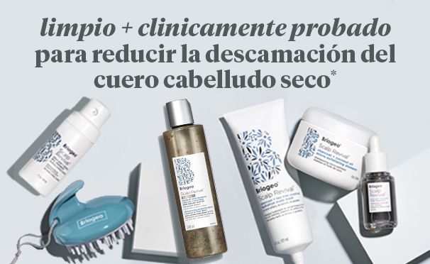 anticaida