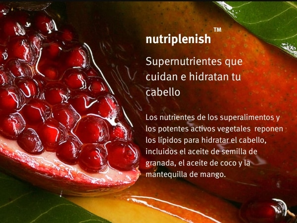 anticaida