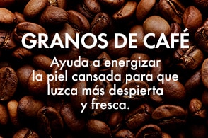 referencia de asset