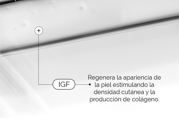”ojos"