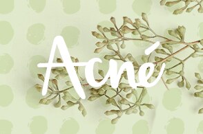 referencia de asset