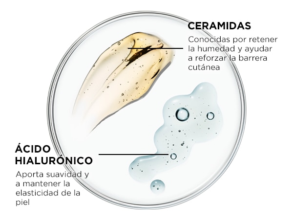 anticaida
