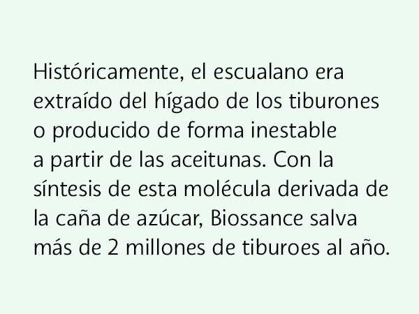anticaida
