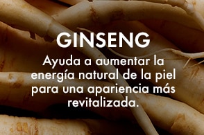 referencia de asset