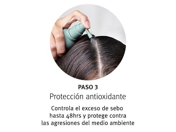 anticaida