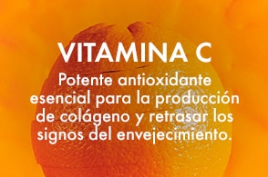 referencia de asset