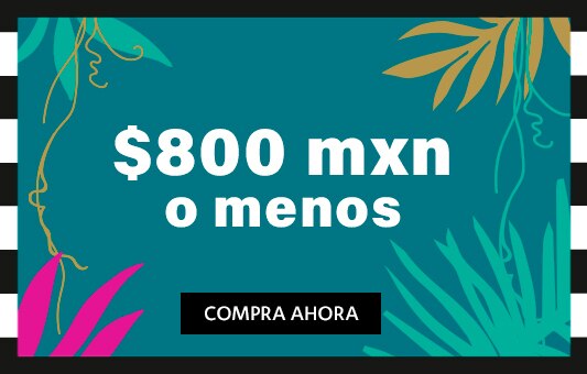  $800 