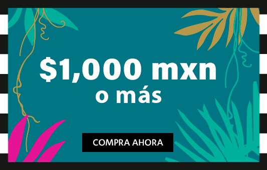  $1000 