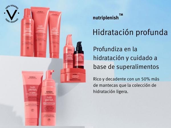 anticaida