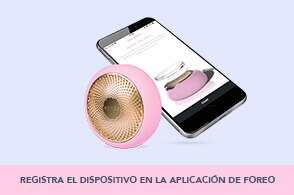 referencia de asset