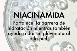 referencia de asset