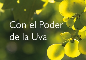 Cuidado profesional