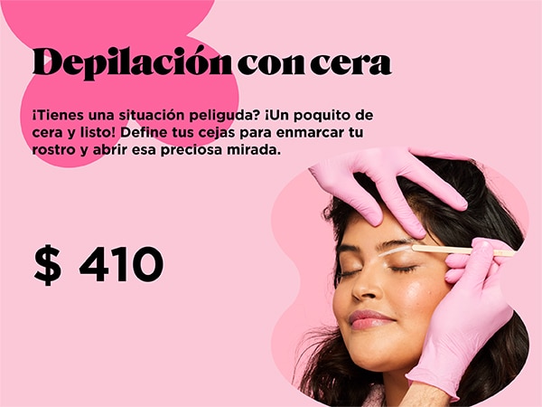 anticaida