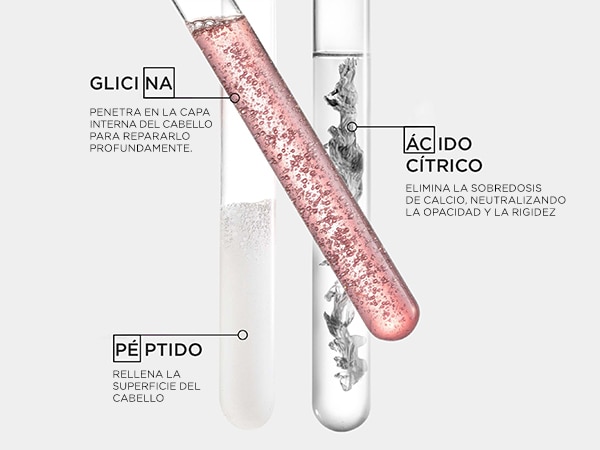 anticaida