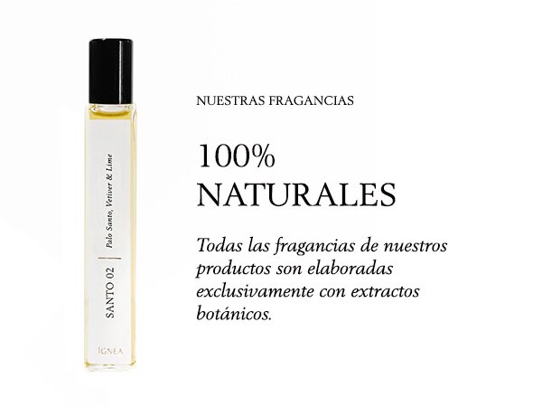 anticaida