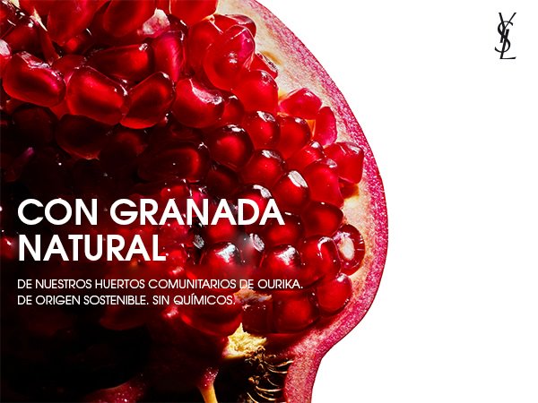 anticaida