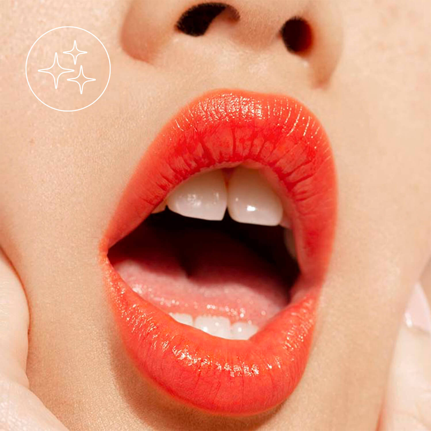 THE LIPSTICK (LABIAL EN BARRA)