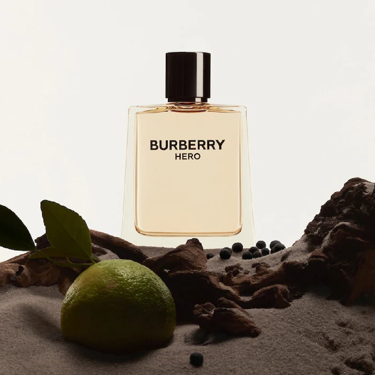 burberry guadalajara catalogo