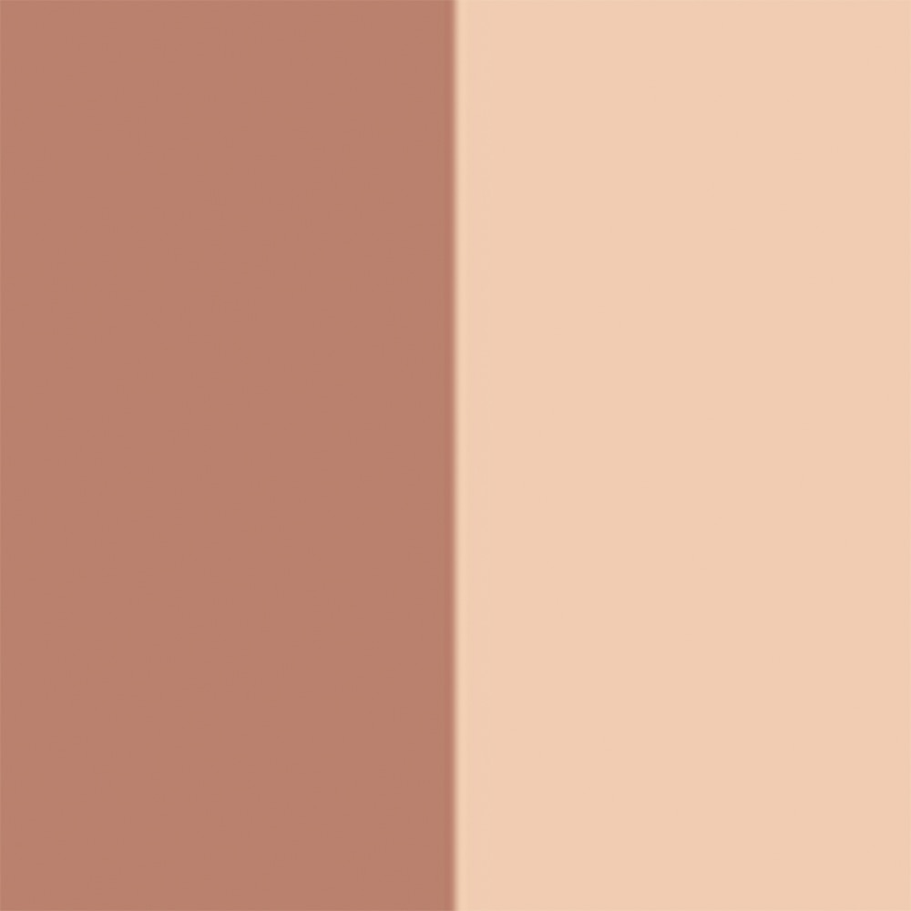 ROUGE BLUSH COLOUR & GLOW PALETA DE ROSTRO MULTIUSO (DÚO DE COLOR E ILUMINADOR)