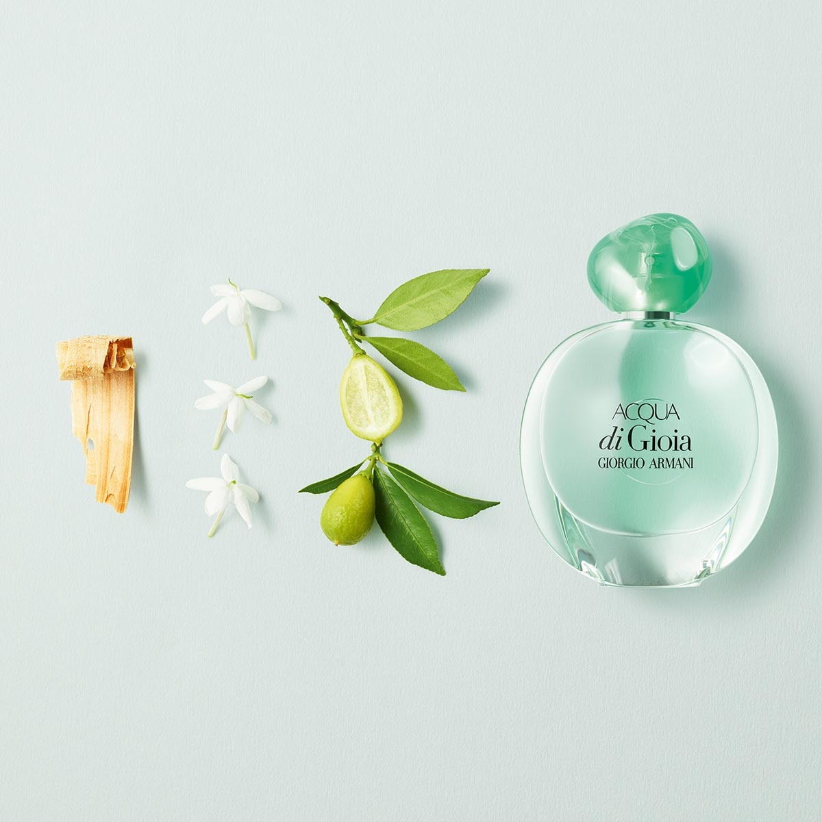 ACQUA DI GIOIA EDP 100ML