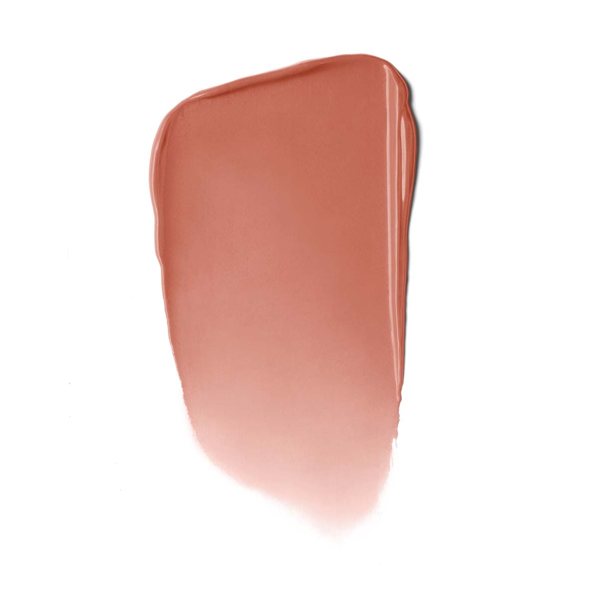 AIR MATTE LIP COLOR (LABIAL MATE)