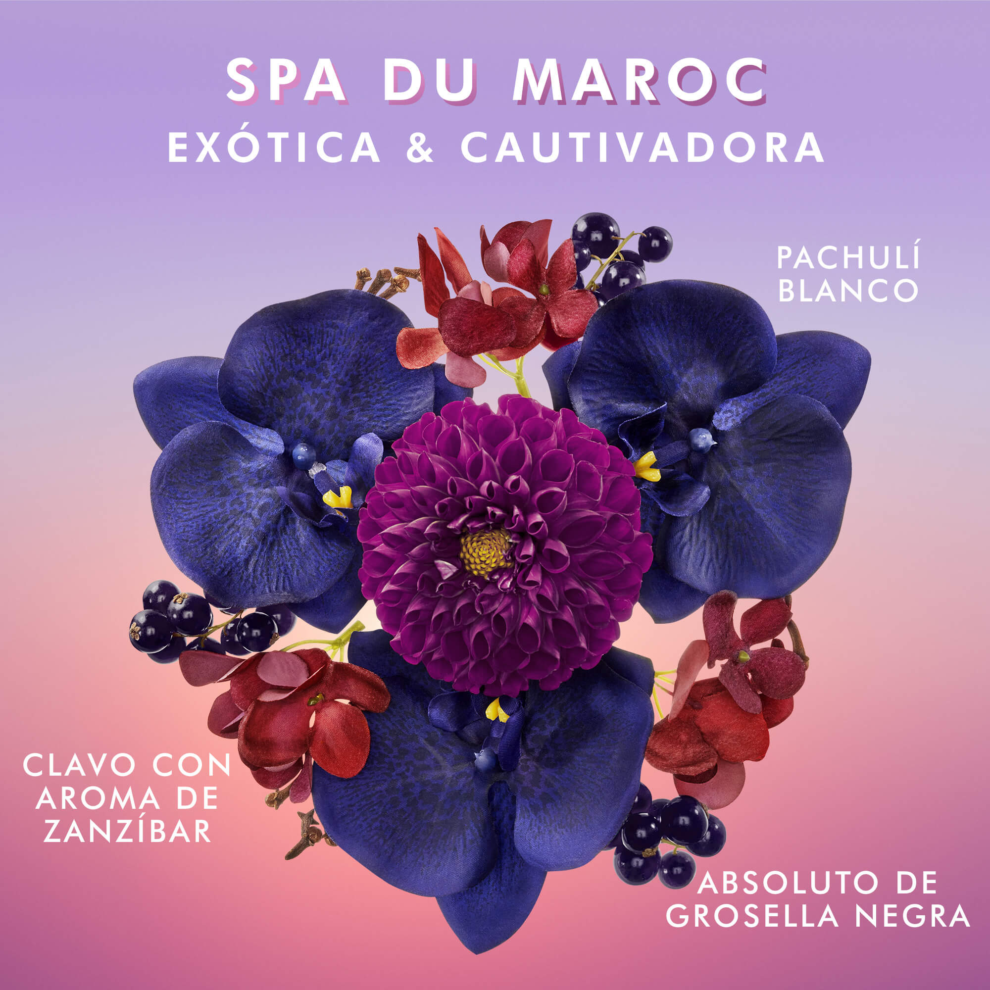 BODY LOTION (LOCIÓN CORPORAL)