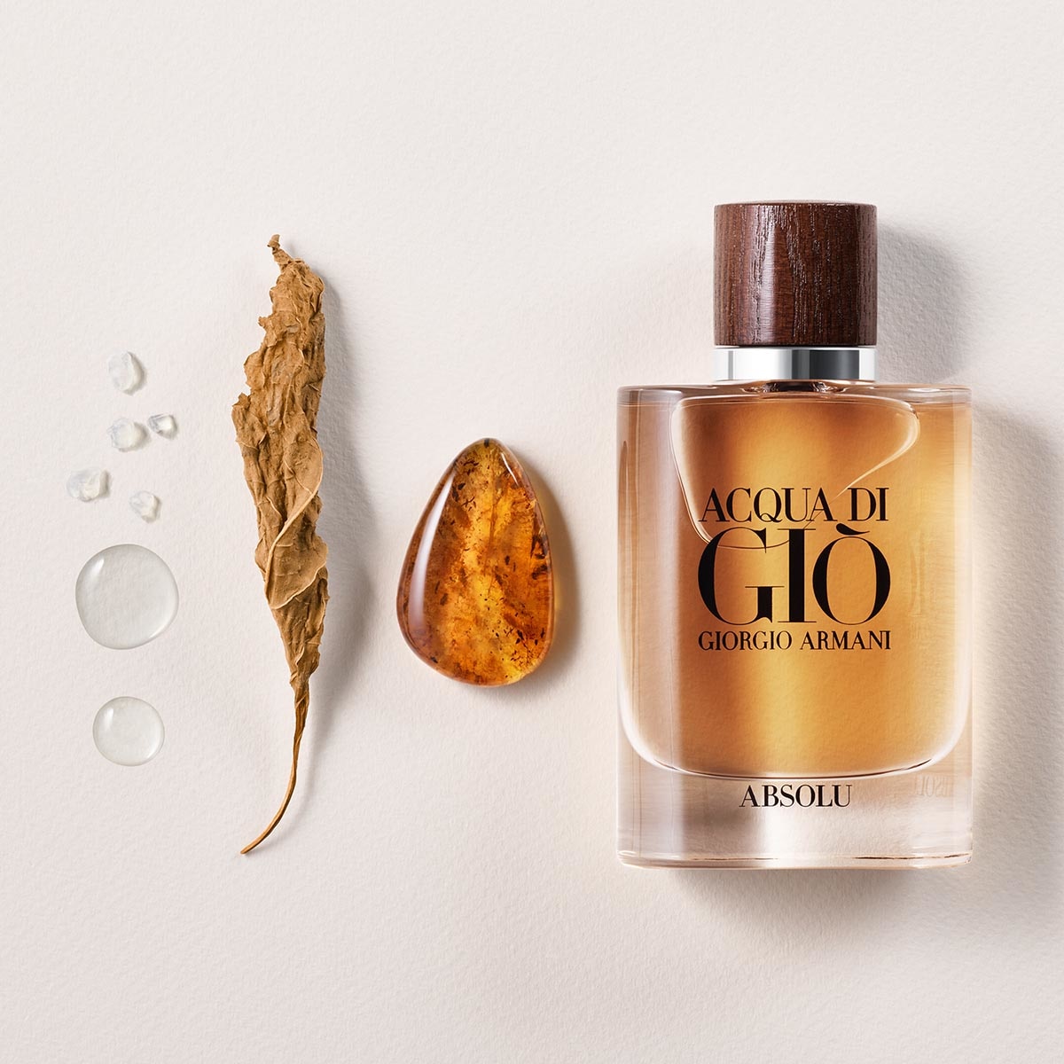 Acqua di gio absolu opiniones best sale