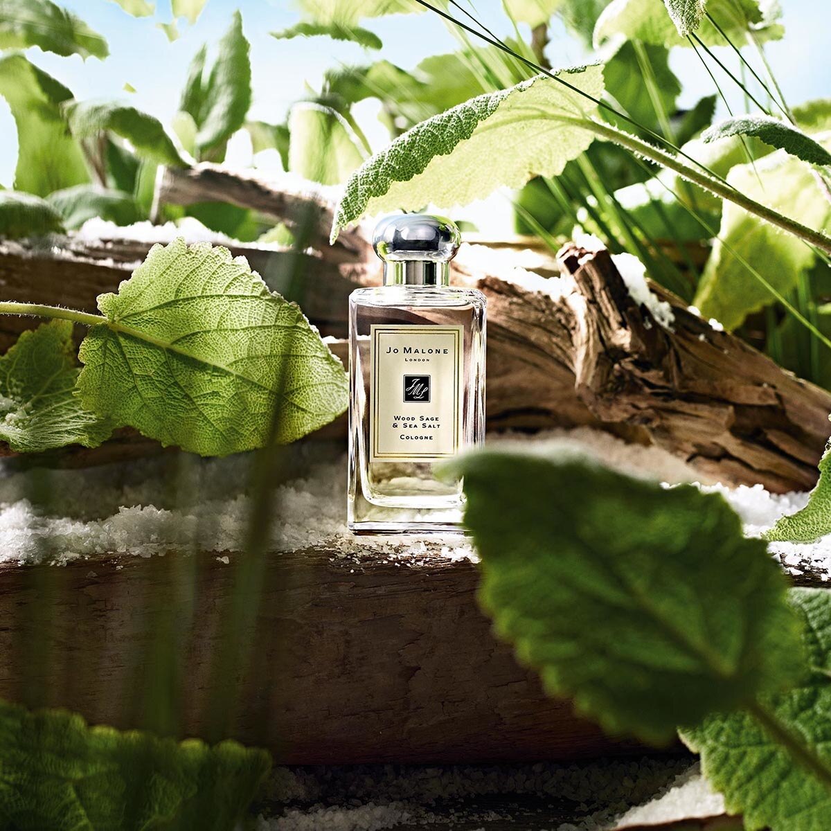 WOOD SAGE & SEA SALT EAU DE COLOGNE . DE JO MALONE EN SEPHORA MÉXICO