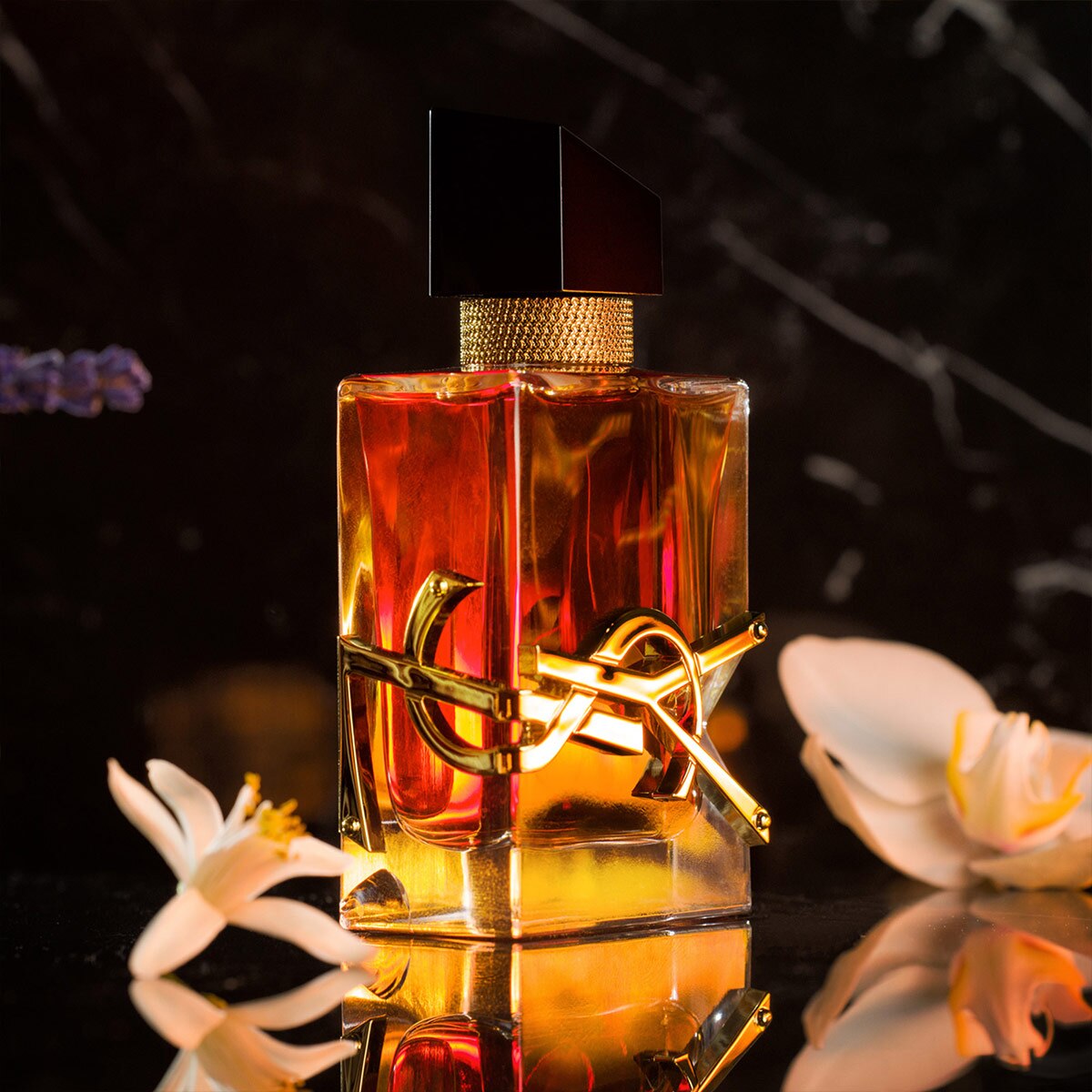LIBRE INTENSE EAU DE PARFUM 90ML Sephora MX