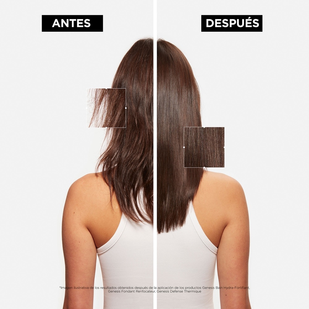 SET GENESIS ANTI-CA&Iacute;DA DE CABELLO K&Eacute;RASTASE (SET PARA CABELLO)