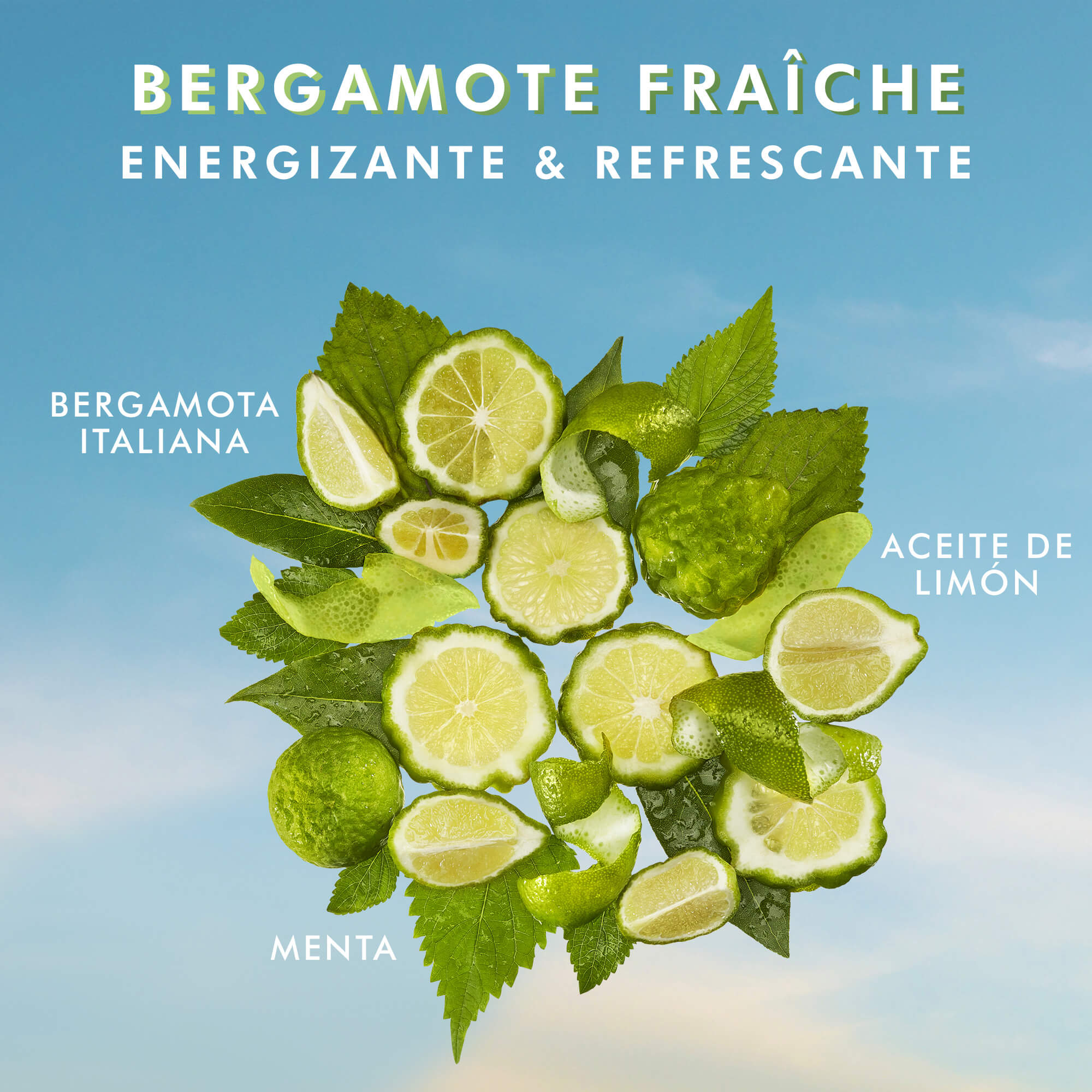 SHOWER GEL (GEL DE BAÑO)