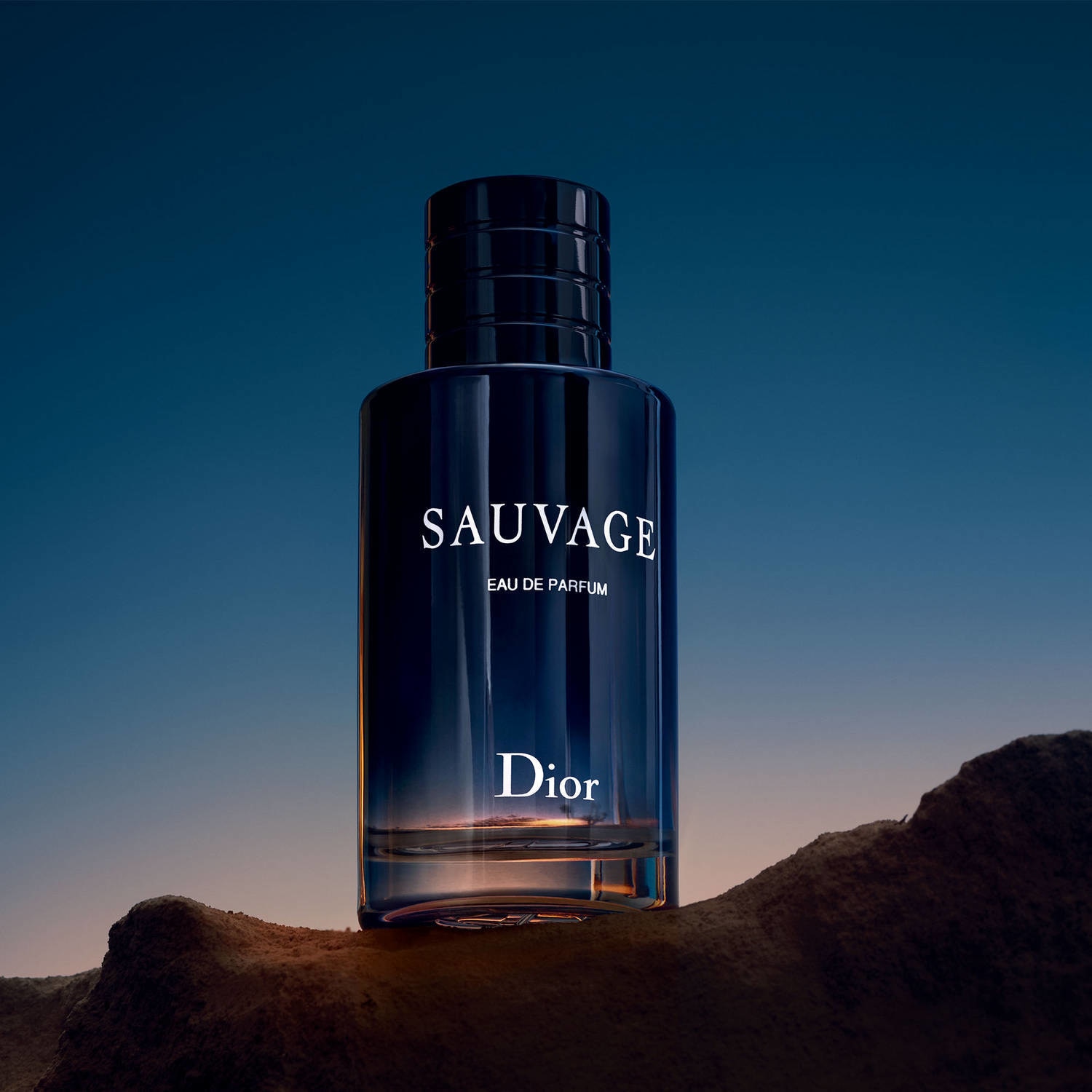 SAUVAGE EAU DE PARFUM 200ML