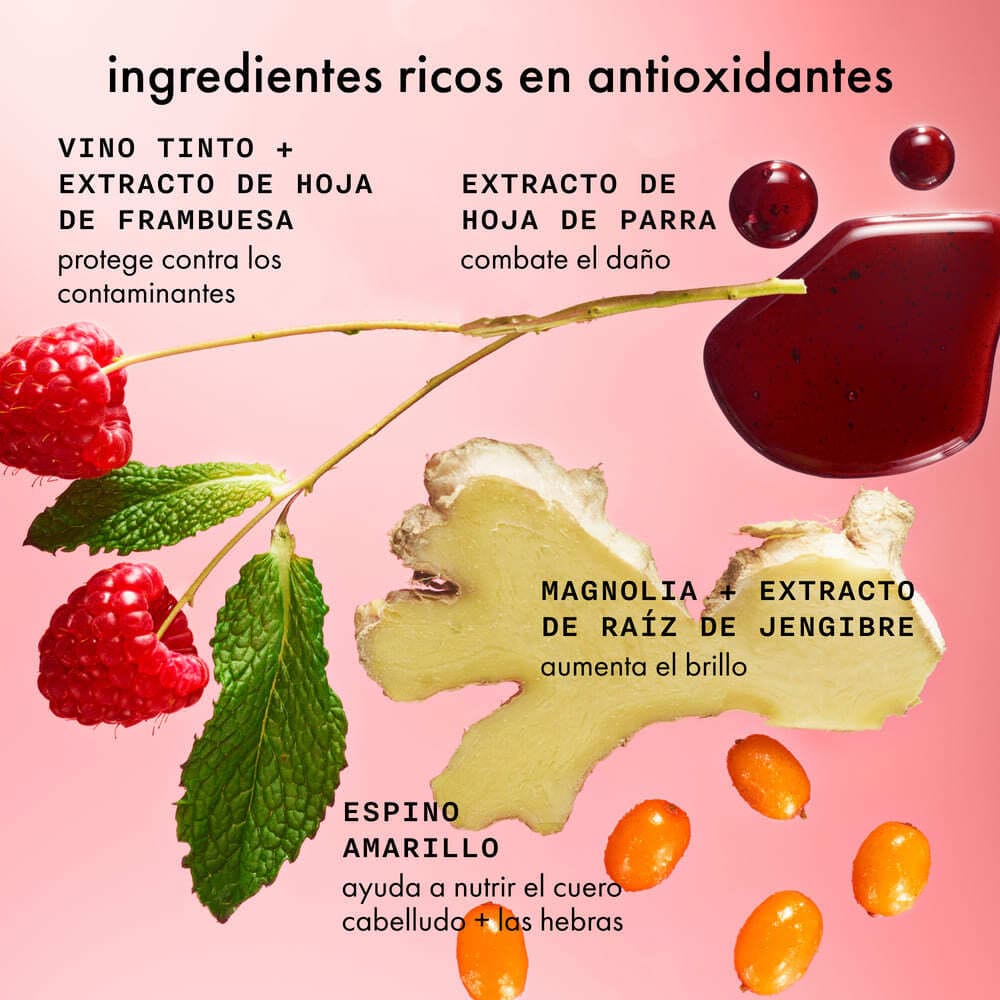 MIRRORBALL HIGH SHINE + PROTECT ANTIOXIDANT CONDITIONER (ACONDICIONADOR PARA CABELLO)
