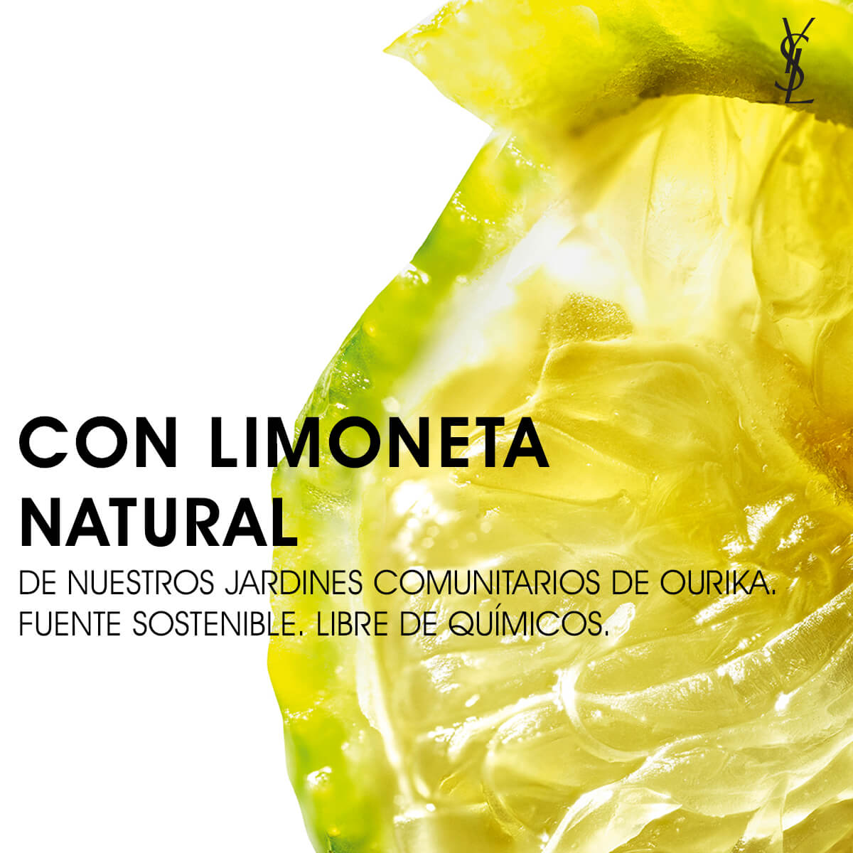 NU BLOTTING LOTION (PRIMER MINIMIZADOR DE POROS)