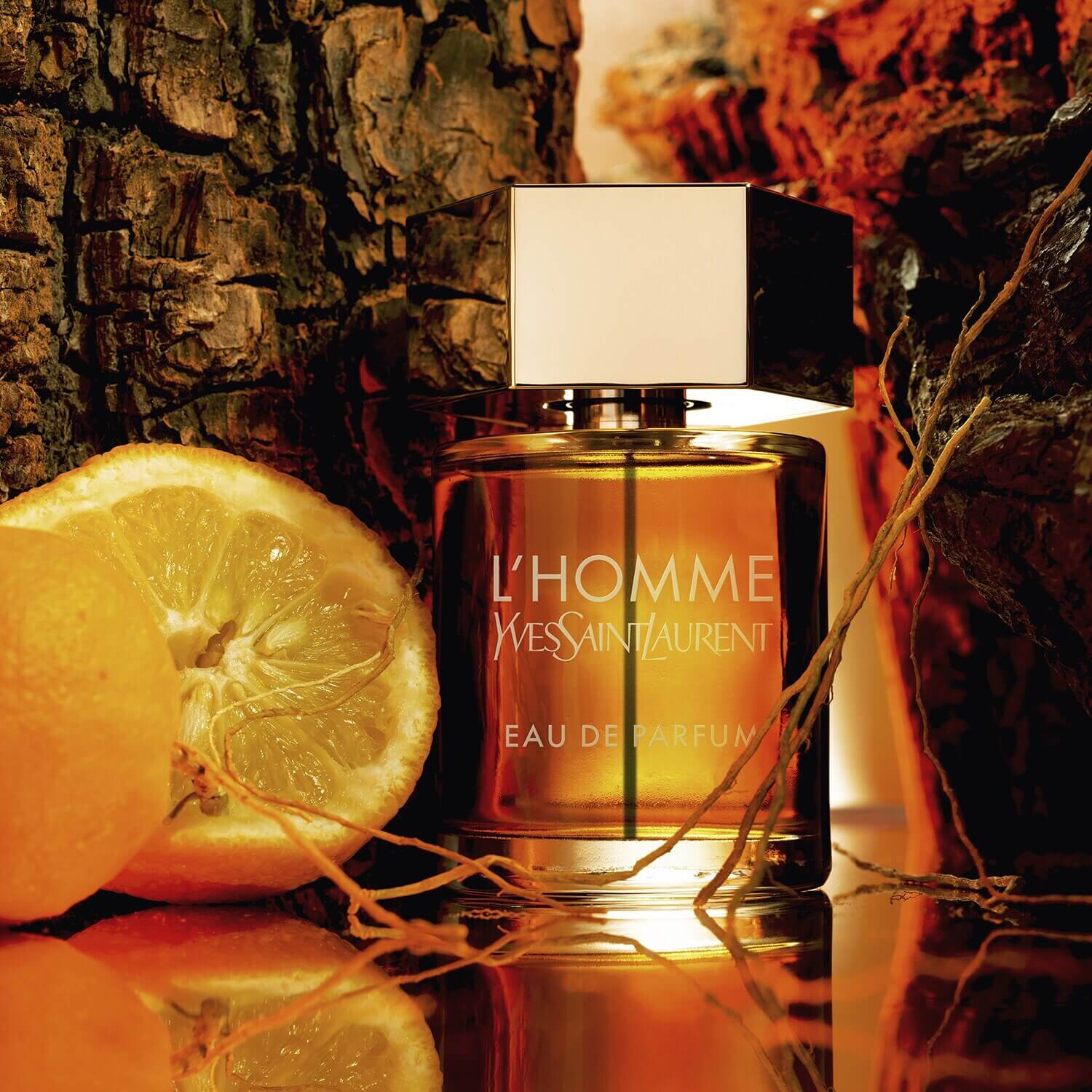 L'HOMME INTENSE EAU DE PARFUM
