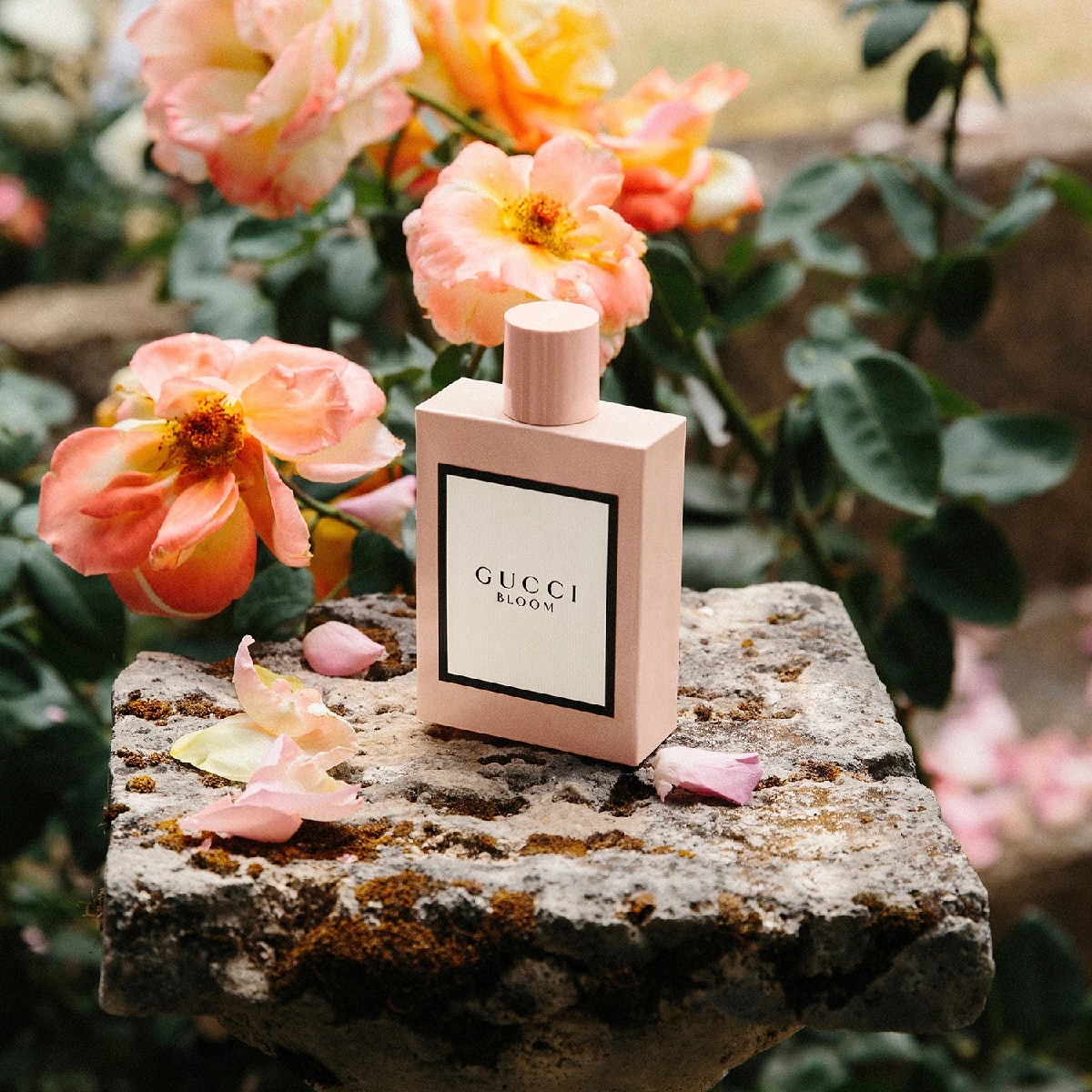 Gucci bloom 50ml sephora online