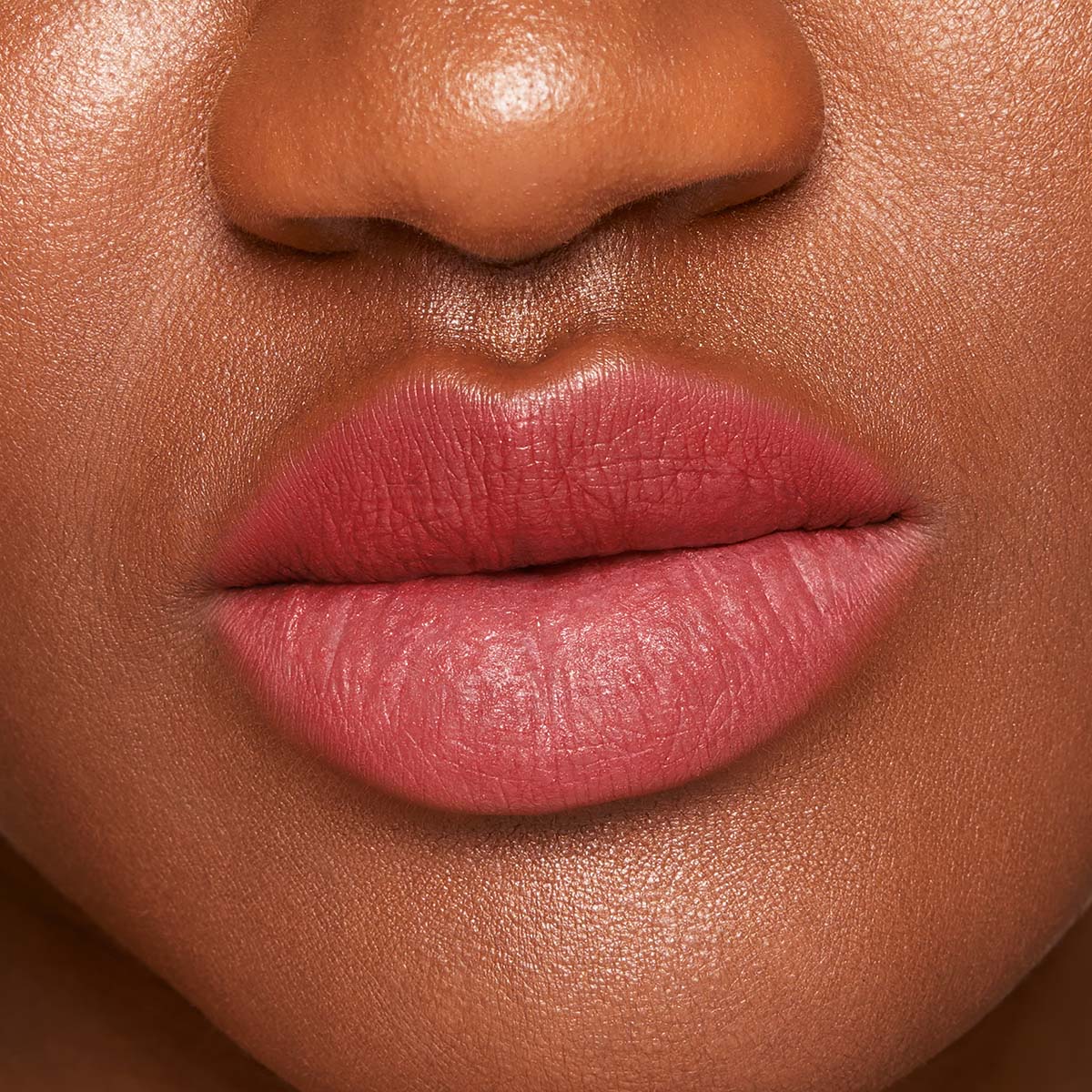AIR MATTE LIP COLOR (LABIAL MATE)