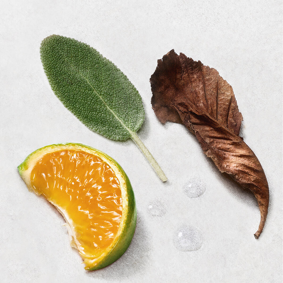 ACQUA DI GIO EAU DE PARFUM