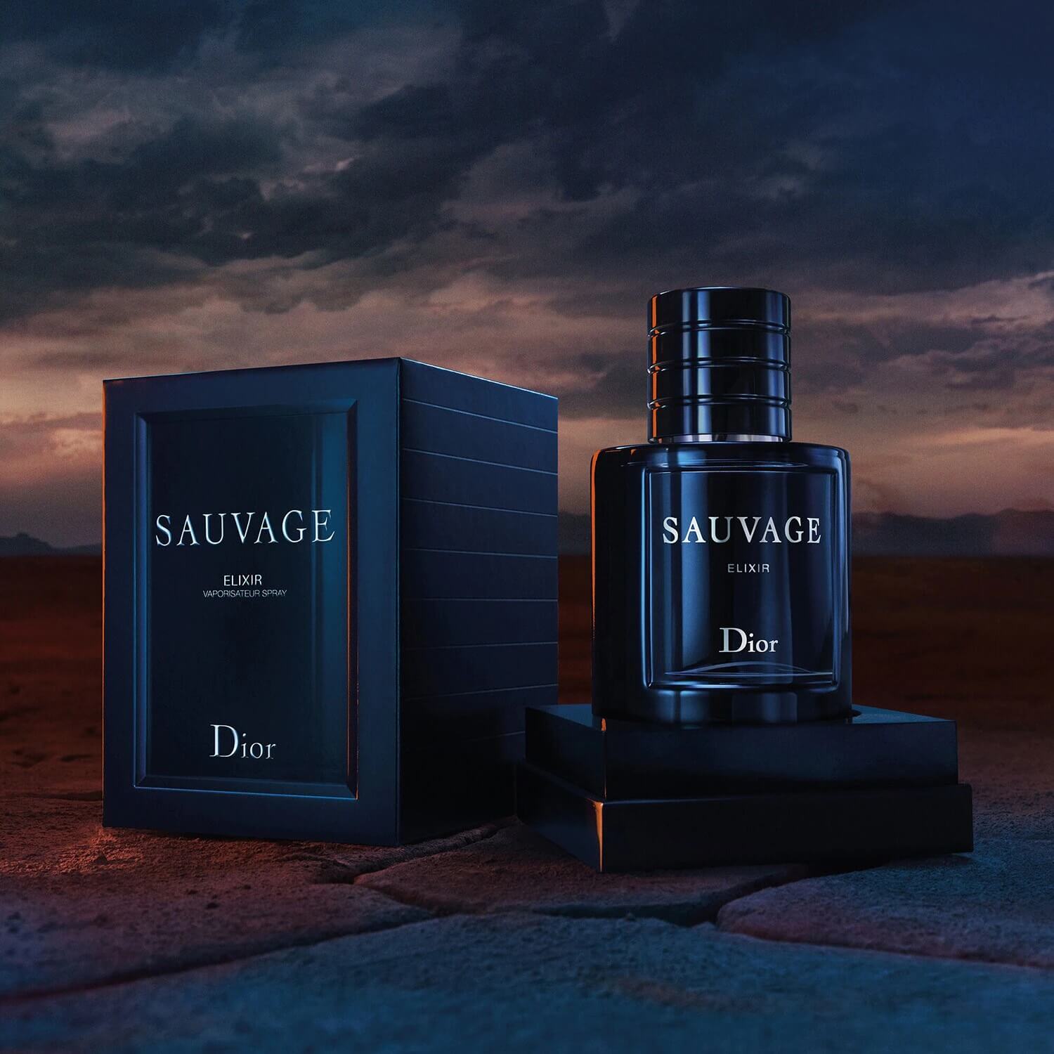 SAUVAGE ELIXIR