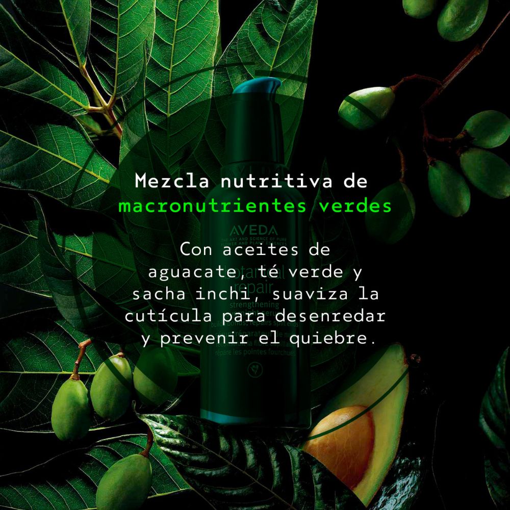 HOLIDAY SET BOTANICAL REPAIR (SET REPARACIÓN)
