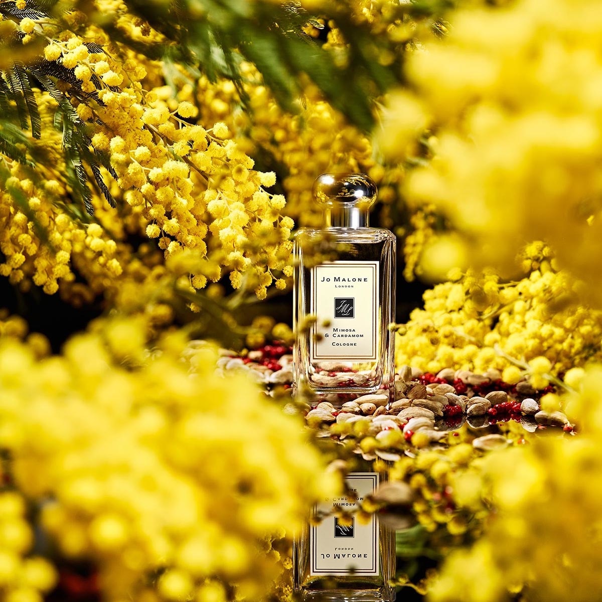 MIMOSA & CARDAMOM EAU DE COLOGNE DE JO MALONE EN SEPHORA MÉXICO