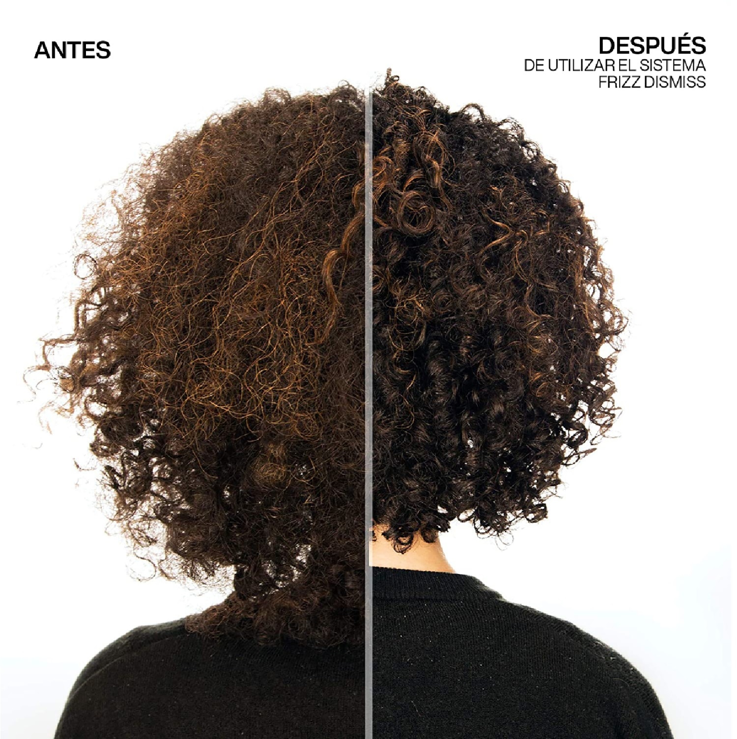 PROTECTOR TÉRMICO FRIZZ DISMISS (PROTECTOS PARA CABELLO REBELDE)