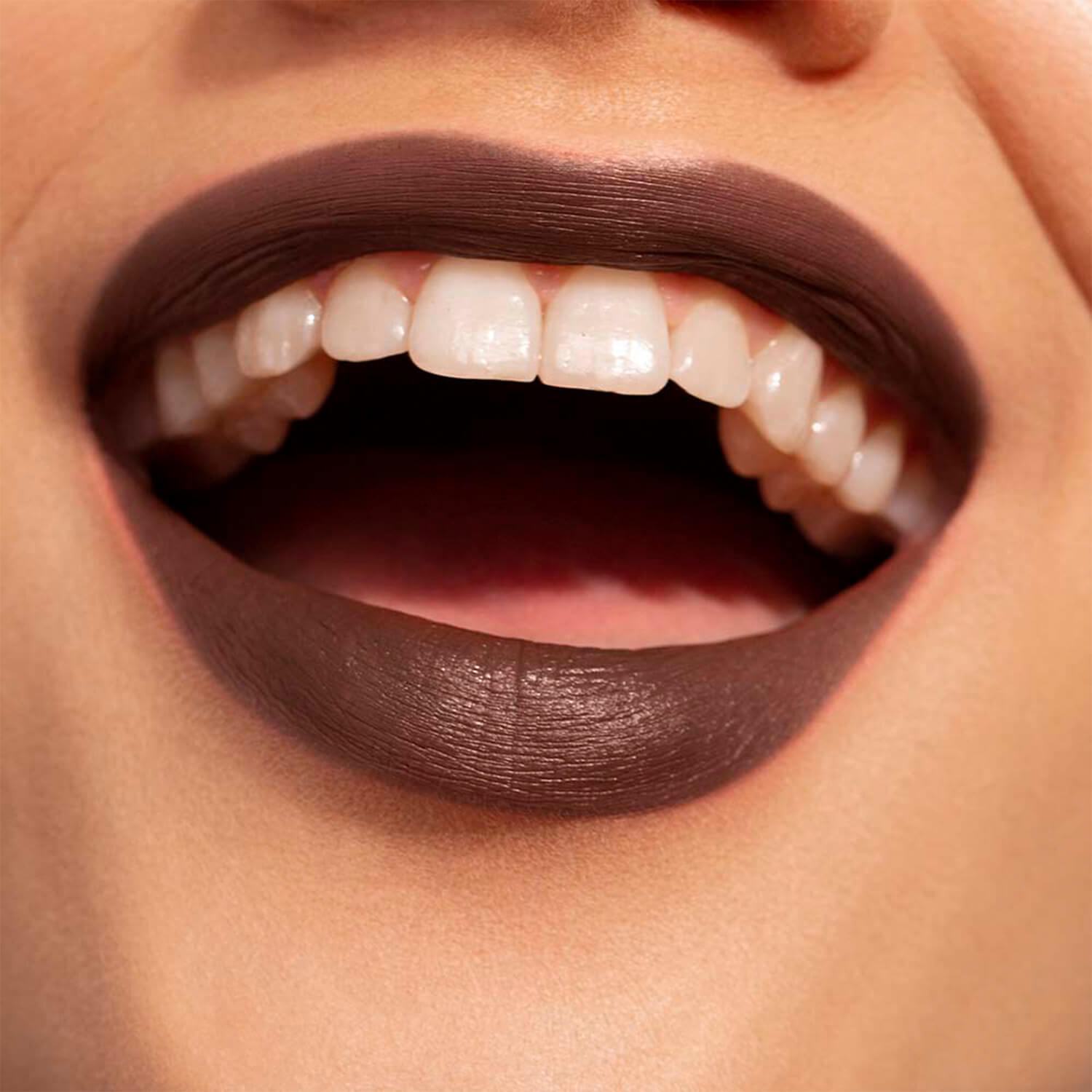 THE LIPSTICK (LABIAL EN BARRA)