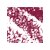 03 Rose Wine Matte Pinkish Brown