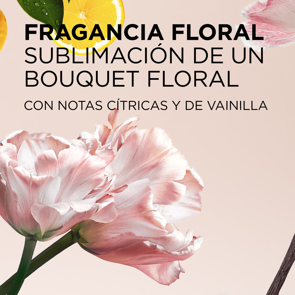 GLOSS ABSOLU BUNDLE BAIN Y HUILE (SHAMPOO Y ACEITE CAPILAR)
